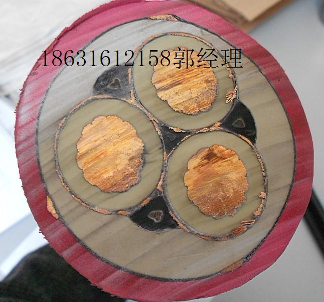 UYDPT(MYDPT)ʲô|VƄӽܛ|