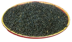 iɰõĳiFܣǽoˮˮИIĮaƷ