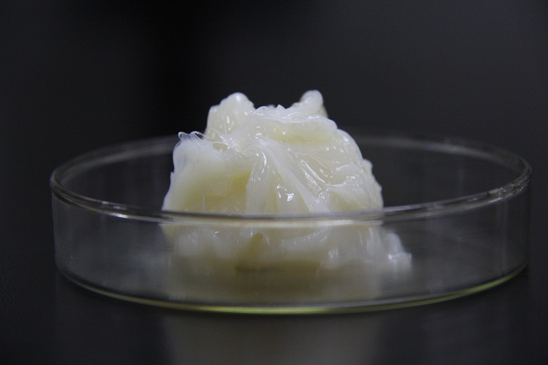 늙CSН֬늙CSЌÝ֬늙CSͨÝ֬