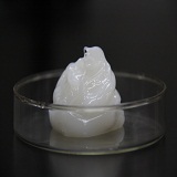 ߜظ늙C(j)֬늙C(j)֬ߜظX݆֬