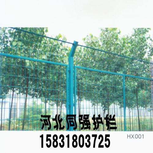 ӱͬ(qing)ٽzW(wng)޹˾