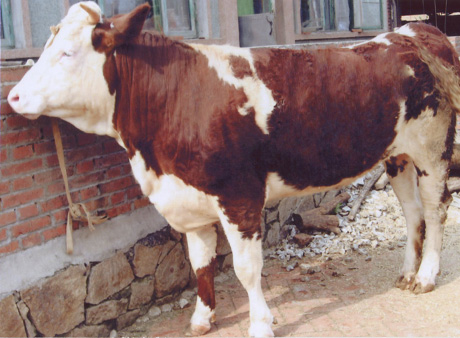 ЇţW||TţƷN|SţBֳ|Aĸţ|