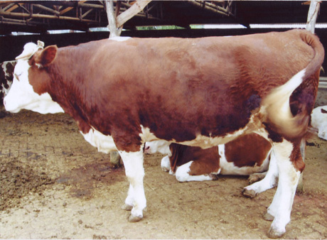 ЇţB(yng)ֳSţW(wng)|ţrTNţ