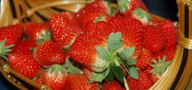 ݮr/2012ݮr/۲ݮ/ݮl