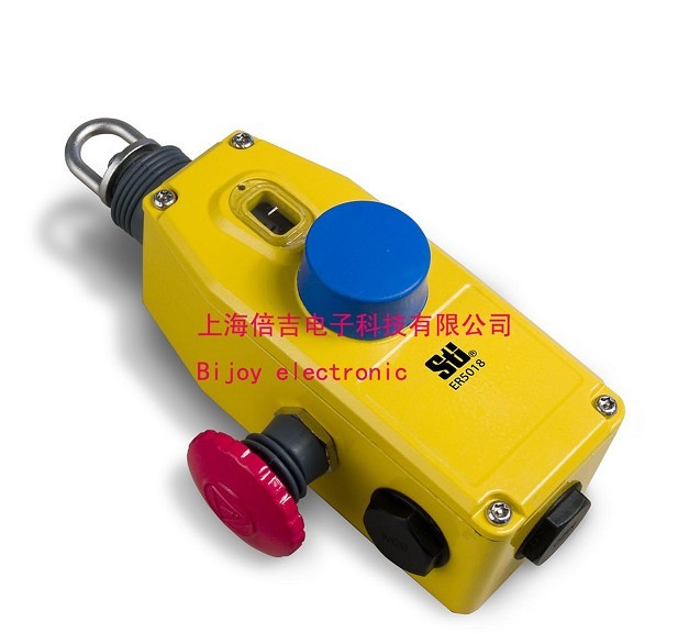 ER5018ϵK_(ki)P(gun)