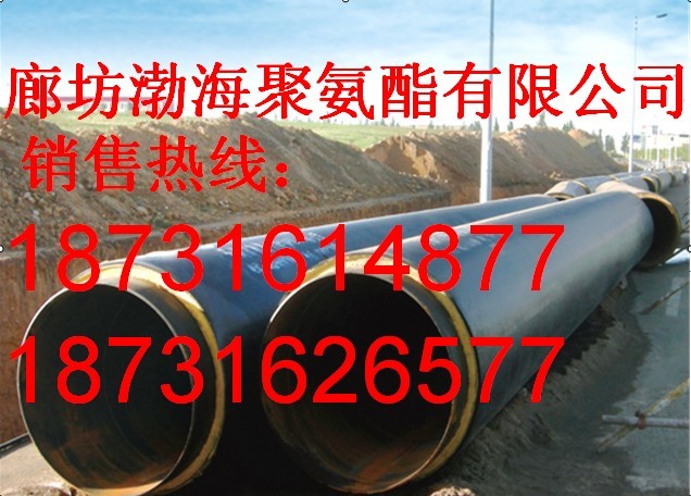 Aƾ۰lݹ܃r ۰񱣜ع܏S ۰ͺϹ̖