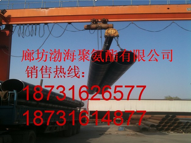 ֱ񱣜ع܃r ֱ񱣜ع܏SֱN