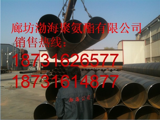 ֱ񱣜ع܃r ֱ񱣜عܹ