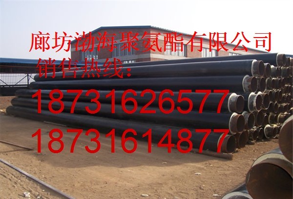 ֱ񱣜ع܃r ӱ۰عֱN