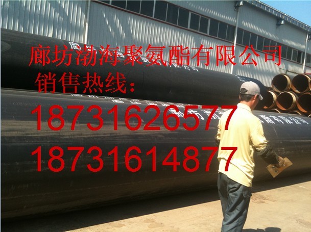 Aֱ񱣜ع܃r ɽ۰عֱN