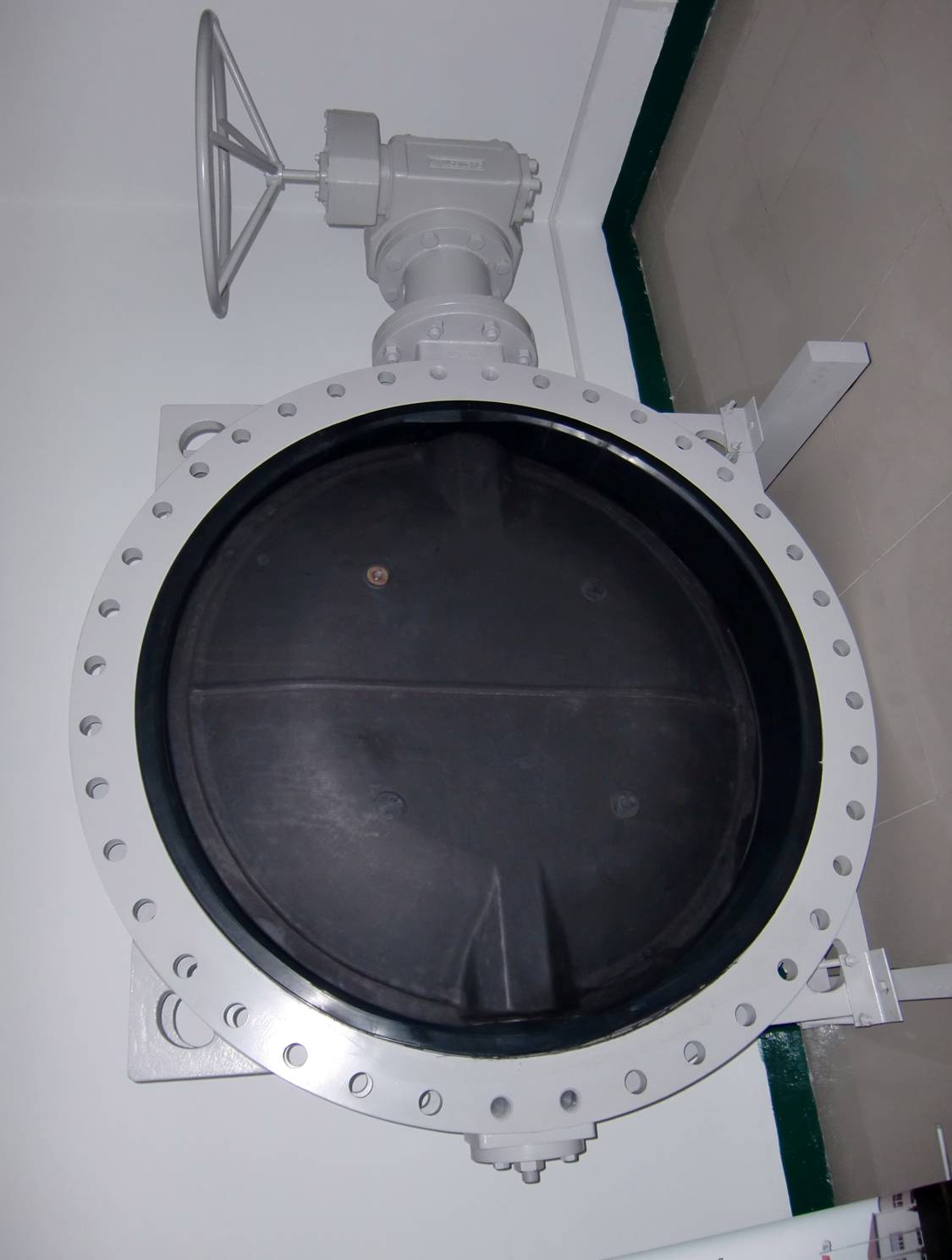 BOLONy BOLONu݆my BOLONAܛܷy