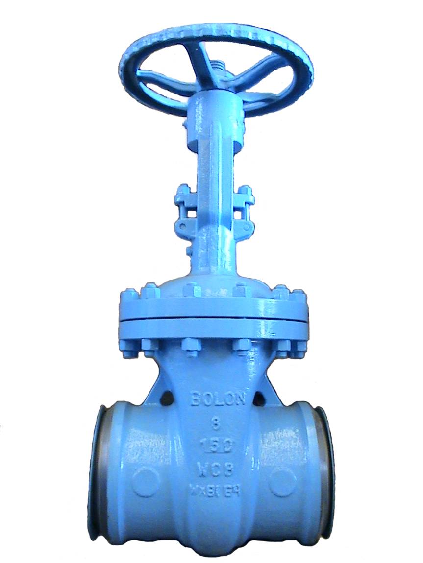 BOLONքly BOLONly BOLONP䓷mly