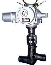 J961Y/H늄Ӹ߉վֹy ߜظ߉ֹyJ961Yӣ