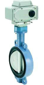 D971J늄ȫrzyúyaSҡЇyT