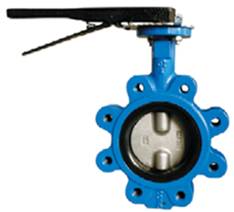 A͌ASoNֱӵy LTSoNy oNy