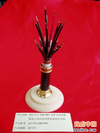 ُIDJYP3VRP3-22ӋC|Ո1863161215