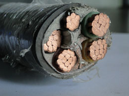 NH-YJV~оͻ|ƽװzyͻ|