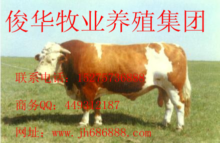 ܘTţB(yng)ֳ(chng)Tţr(ji)