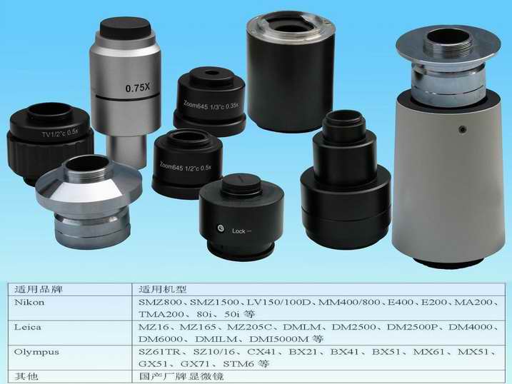 @΢aCýӿ(῵ƿWְ˹)@΢R