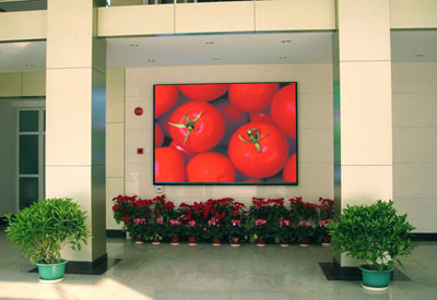 @ʾ|@ʾ|@ʾr@ʾļҺ|