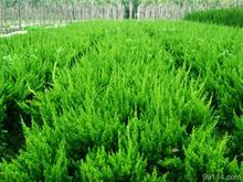 ɽ|20ڷ硿ɽ|20ڷ̩20ڷ