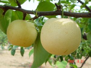 (sh)/ӱ(sh)硾ӱ(sh)r(ji)񡿹(yng)ӱ(sh)