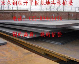 䓰8620H䓰塻̡P295GH䓰jk