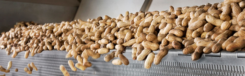 G S ÓƤ a CеSҁɽfͨ