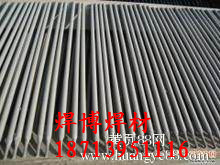 (yng)Ni307A懻l Ni307A懻Ͻ𺸗l