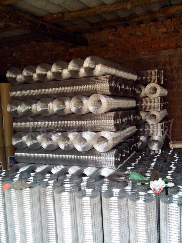 İνz늺W(wng) ĨFzW(wng) 늺W(wng) NҎ(gu)늺W(wng)