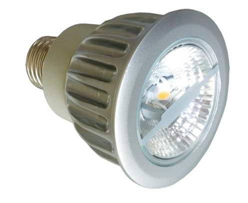 LED PAR20 Bulbs 10W { 늉