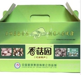 vRخa(chn)ɽ-ɽϵ-ͶYƷ