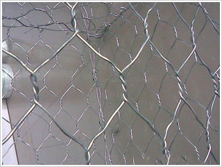 Zo(h)|ږ|؅^(q)rҪđ(yng)Ã(yu)