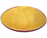 ۺȻX^V/ۺȻXz_(bio)