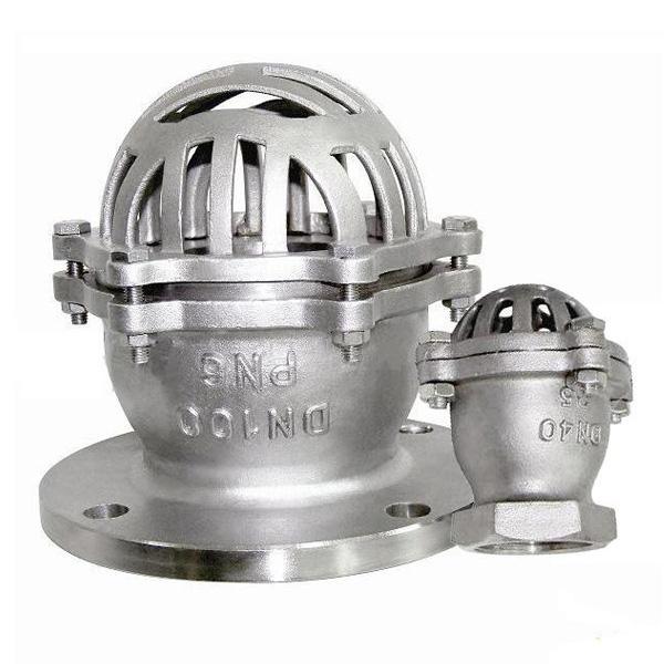 LڬF؛H42XˮµyTFyrrySҹ