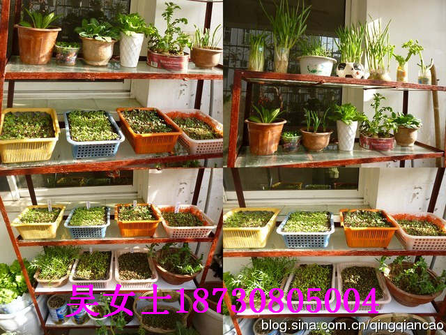 ҃(ni)ܔ[ż/(yng)_(ti)@ˇ/ܷNֲܻ