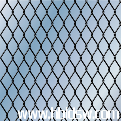 (yng)SֱNӱzW(wng)|(zh)b