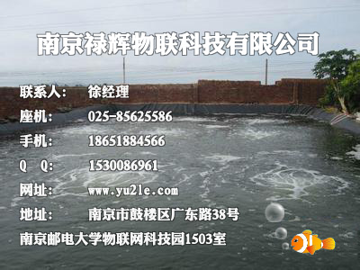 ((w)(sh)(chung))~(y)C(j)X(qin)_