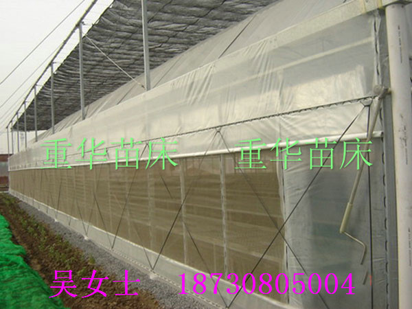 ߲˴xW(wng)/xW(wng)/ϩxW(wng)N