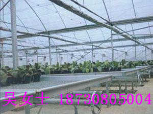 紲W(wng)Ƭ/W(wng)Ƭ/\紲W(wng)S(chng)r(ji)ֱN(xio)