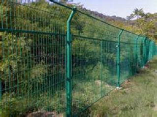 ɽIнӸٹ·oʩF·ײoڵďS