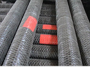 ĴdˮFzW \ʯ\W ʯ\WS҃r