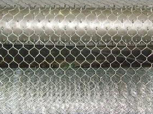 B(ti)GeW(wng) ѴeW(wng)S҃r ƽV