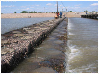 Sҹ(yng)Ĵüɽ\Xʯ\W(wng) Qʯ\W(wng)l(f)r