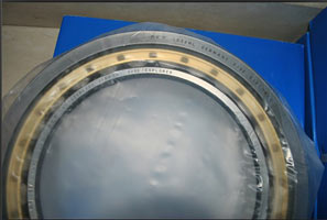 һrʮALS ˹P/NU1009ECPּS