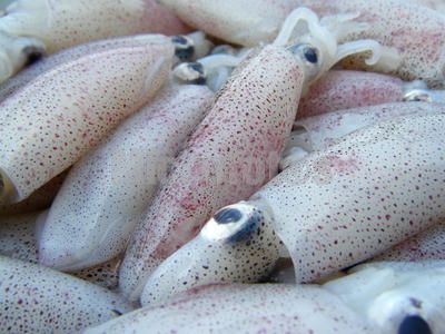 BTl(f)Ј(chng)(yng)ī~Ѓr(ji)