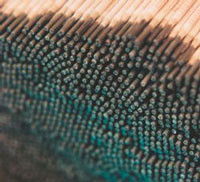 ԭbMڷWVAUTID-150Hˎоz