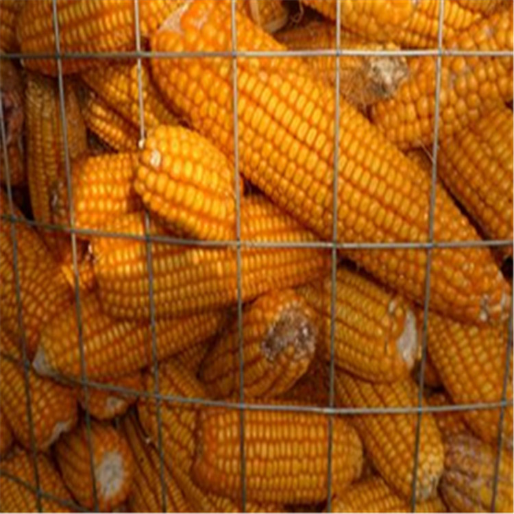 F(xin)؛l(f)-b׾W(wng)-bFzW(wng)-b䓽zW(wng)r(ji)