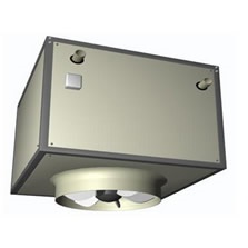 СGDS(Z)/DNFϵе픟ˮI(y)ůL(fng)C(j)¿гڅ