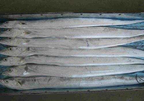 M(jn)ӡˢC(j)(bo)P(gun)